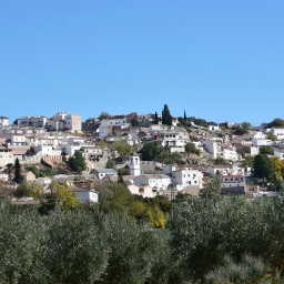 Panorámica desde el huerto