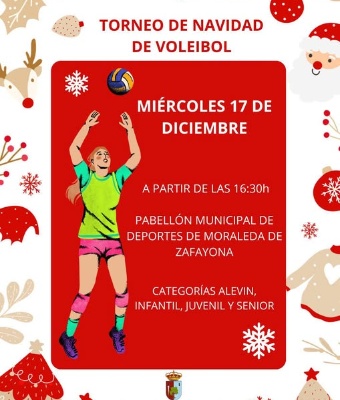 Torneo Voleibol
