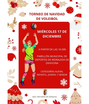 Torneo Voleibol