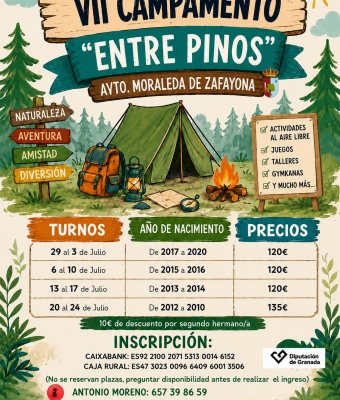 VII  Campamento Entre Pinos