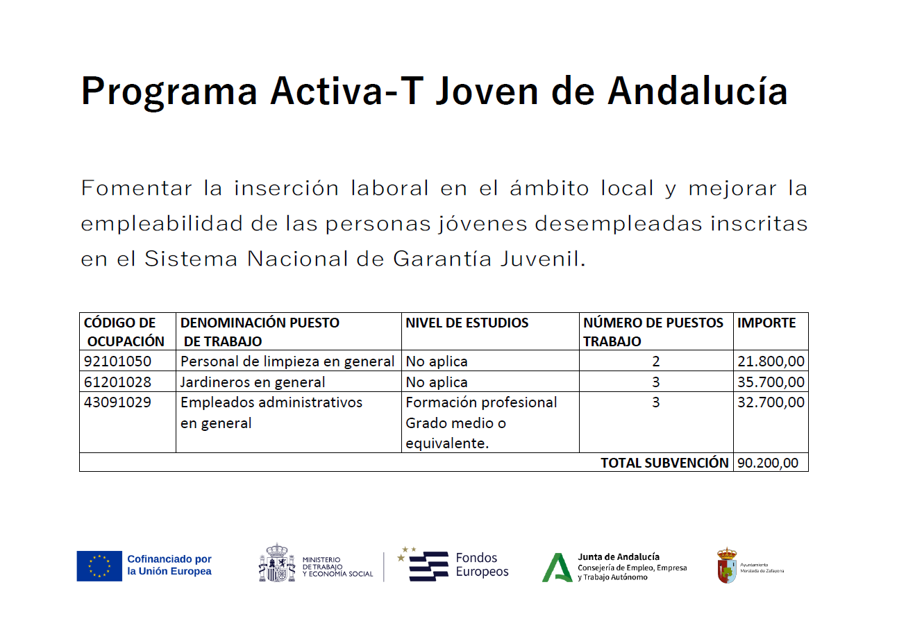 PROGRAMA ACTIVA T